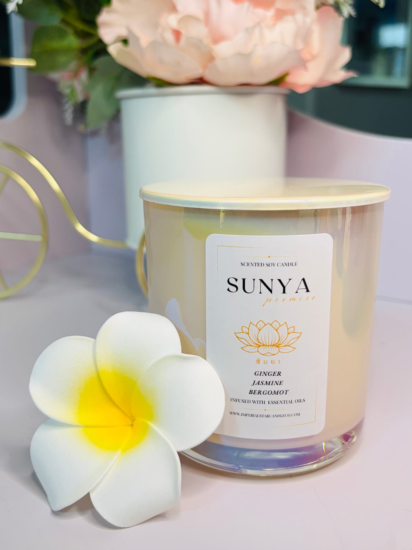 SUNYA 8.5 oz