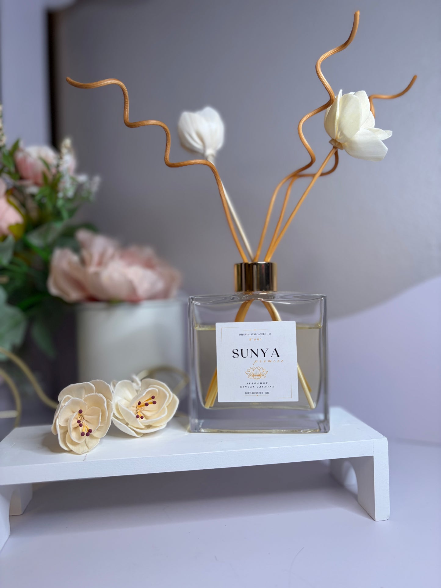 SUNYA – Promise